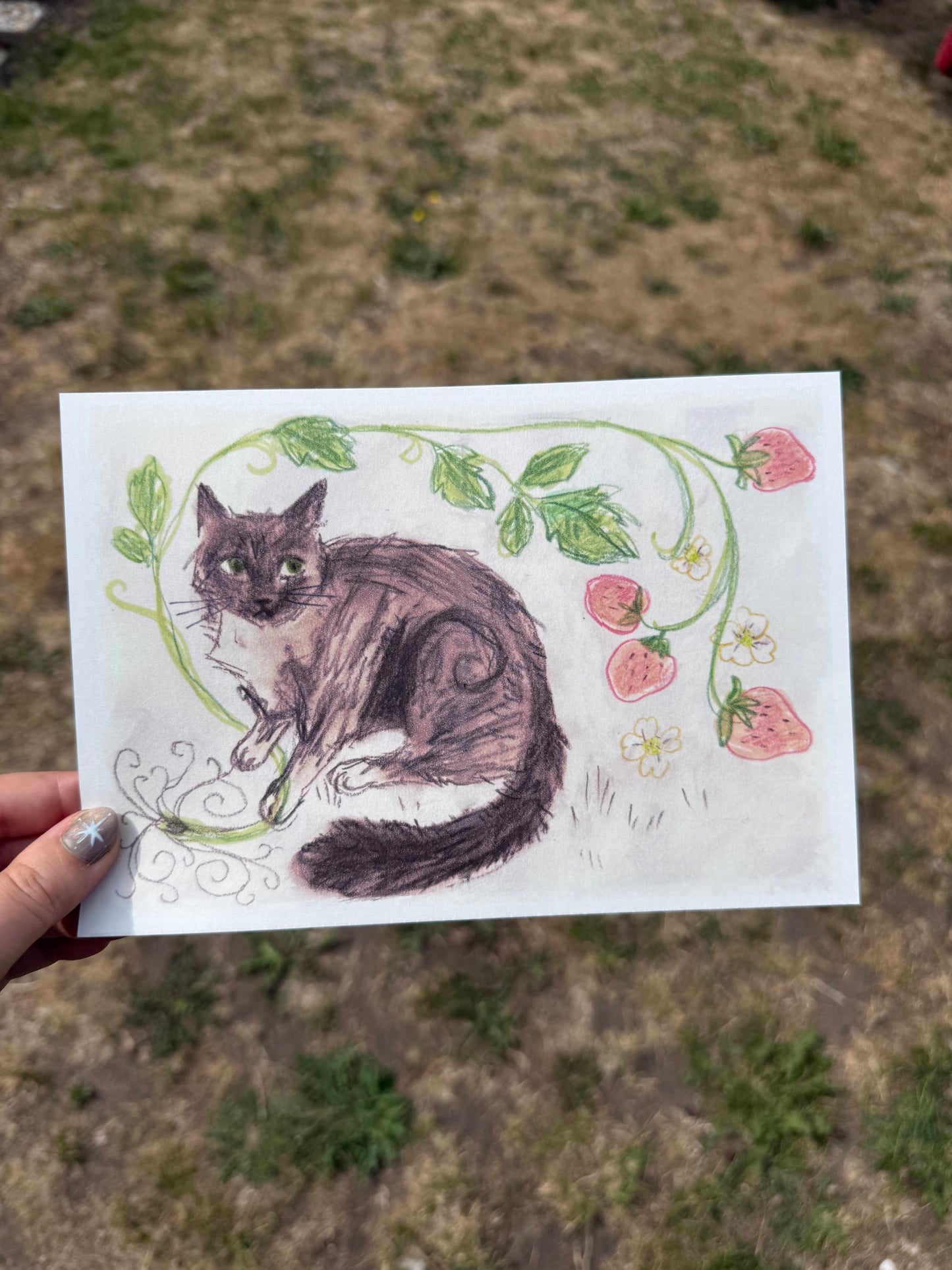 Strawberry Cat Print