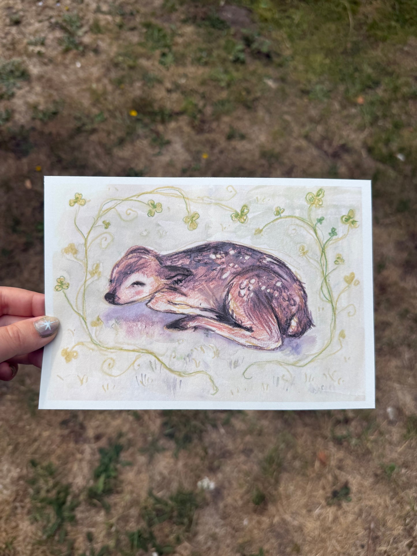 Clover Doe Print