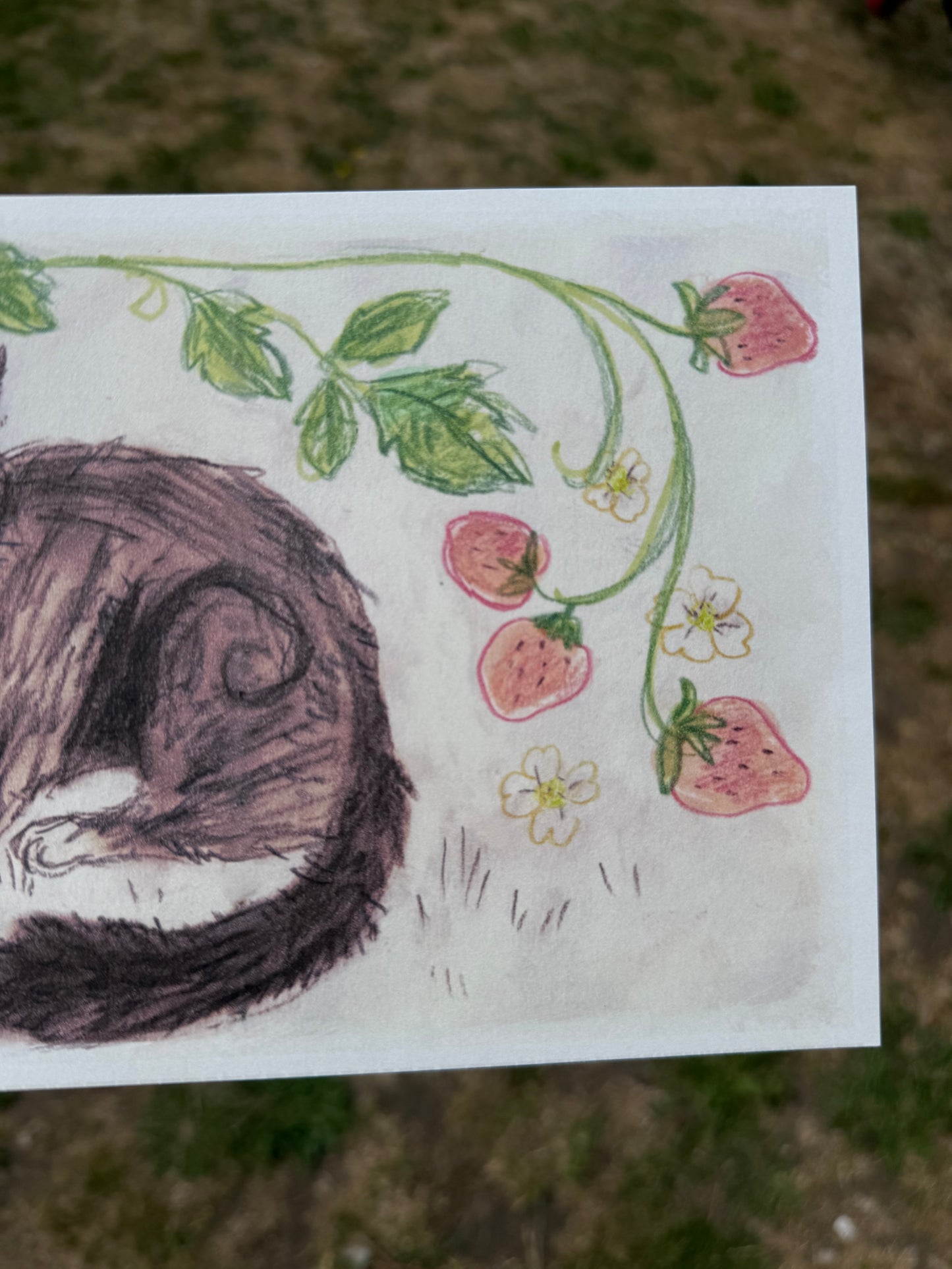 Strawberry Cat Print